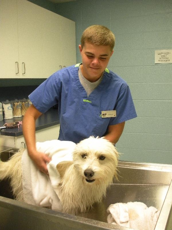 Wallace Animal HospitalOur Staff